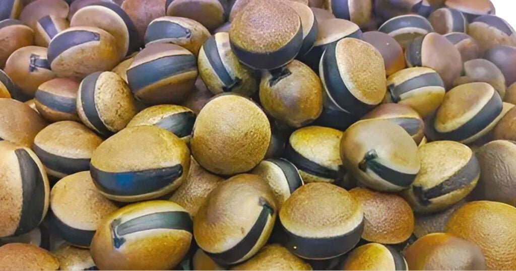 Ojo de Venado: Tradición y protección 1 semilla ojo de venado